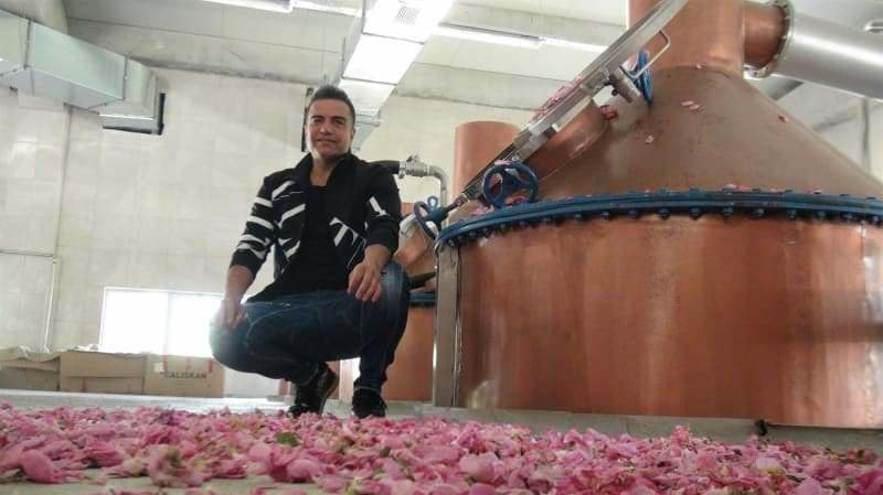 berdan mardini založil továrnu na růžový olej ve svém rodném mardu
