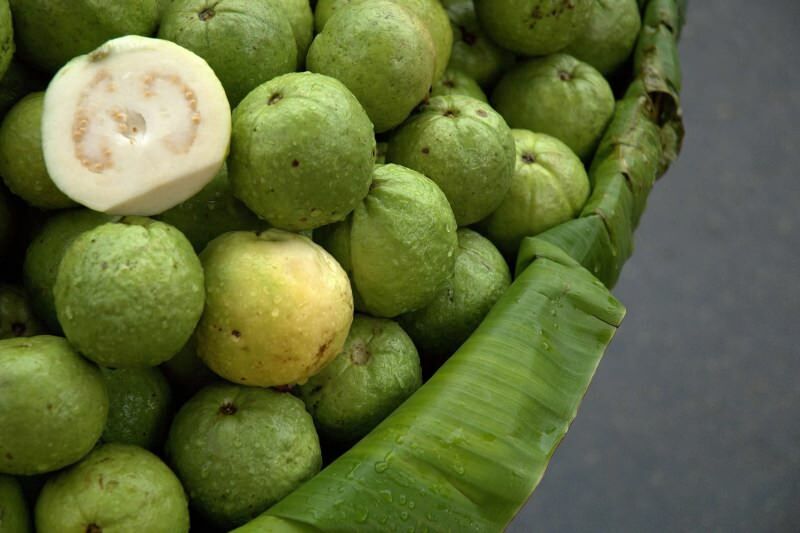 nezralé ovoce guavan 