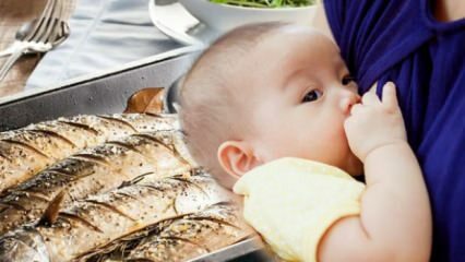 Mohou být ryby kojeny během kojení?
