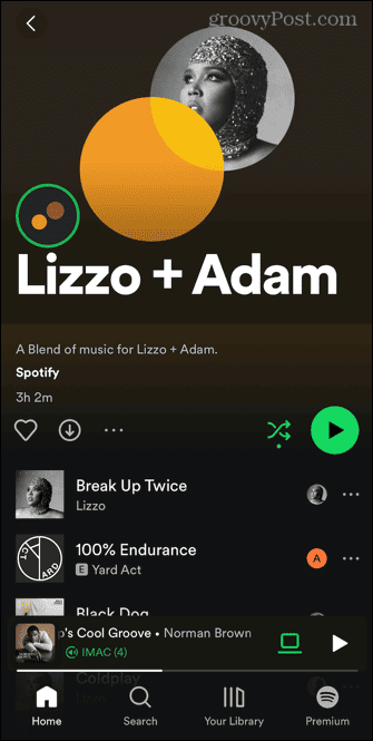 umělecká směs spotify