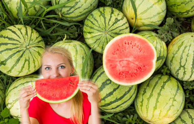 co je melounová dieta