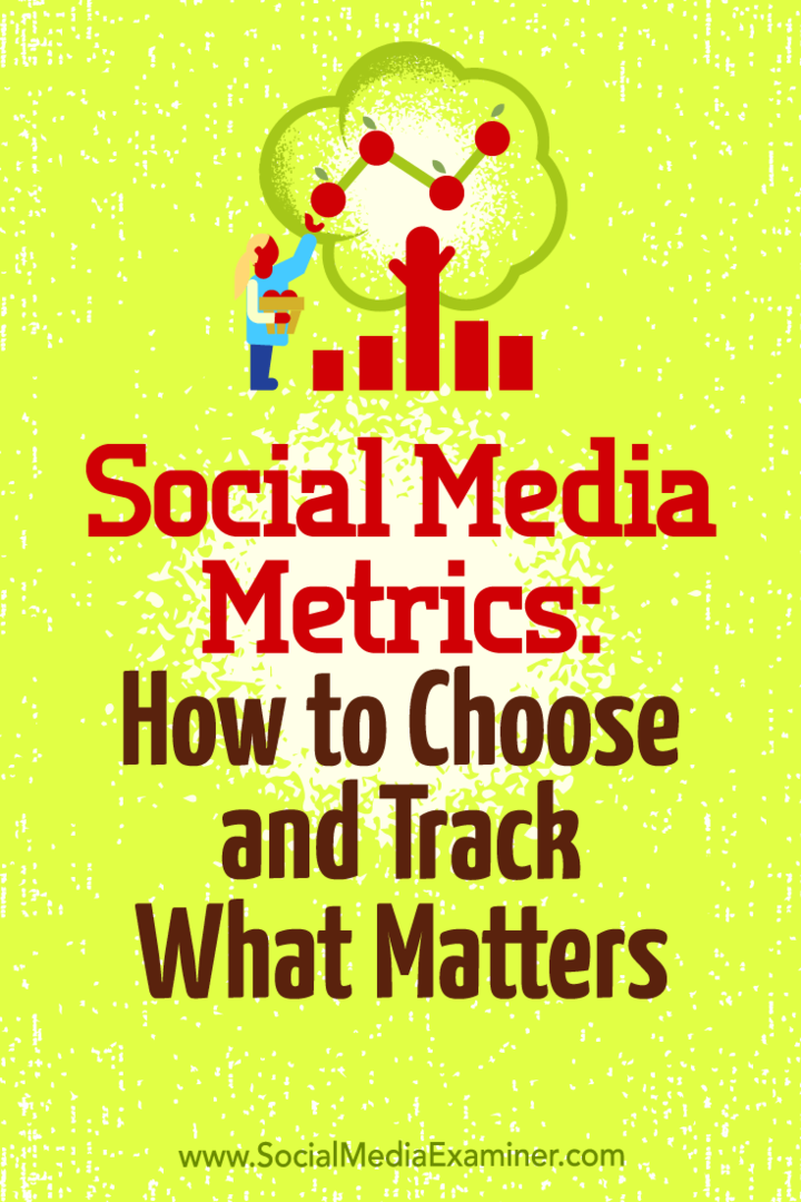 Metriky sociálních médií: Jak si vybrat a sledovat, na čem záleží, Eleanor Pierce v průzkumu sociálních médií.