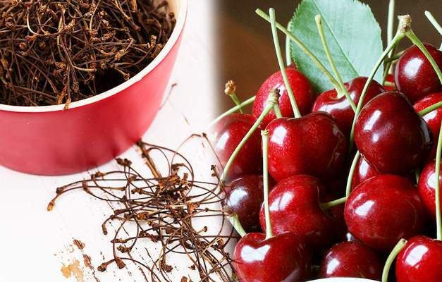 Jaké jsou výhody třešňového stonku? Cherry stonkový čaj