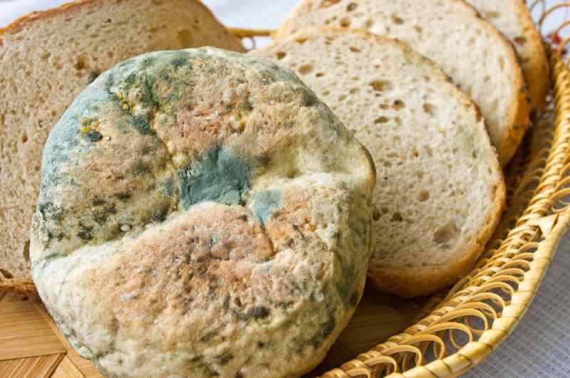 Způsoby, jak zabránit tomu, aby chléb zatuchl a plesnivěl