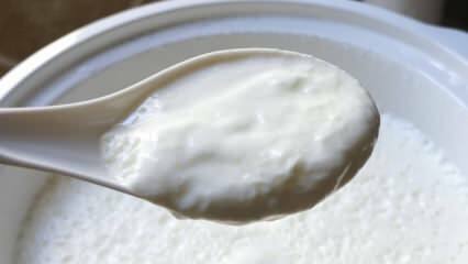 Jaký je snadný způsob, jak vařit jogurt? Vyrábět jogurt jako kámen doma! Výhodou domácího jogurtu