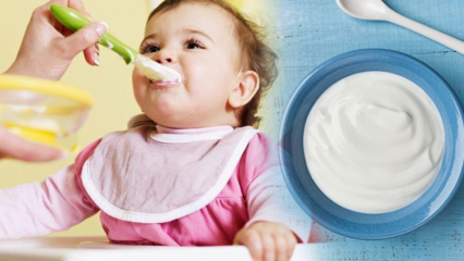 Jak vyrobit jogurt pro kojence? Domácí ovocné jogurtové recepty pro kojence