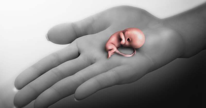 Co je potrat? Příznaky potratu během těhotenství
