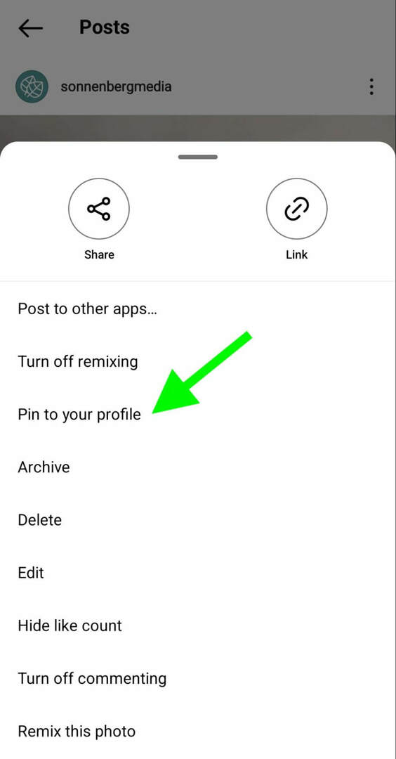 jak-připnout-příspěvky-profilu-profilu-síť-sonnenberg-krok-1 na instagramu