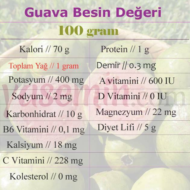 guava nutriční hodnota