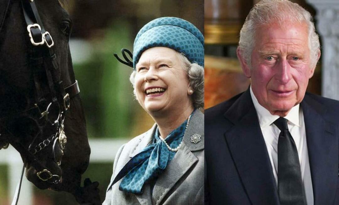 Král III. Královna Karel II Neúcta k Alžbětině odkazu! Vítěz koně prodá