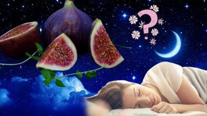 Co to znamená vidět fíkovník ve snu? Co to znamená snít o konzumaci fíků? Sbírání fíků ze stromu ve snu