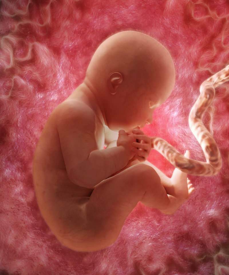 Způsobuje anémii v těhotenství?