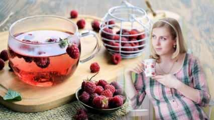 Čaj usnadňující porod: Malina! Výhody malinového čaje pro těhotné ženy