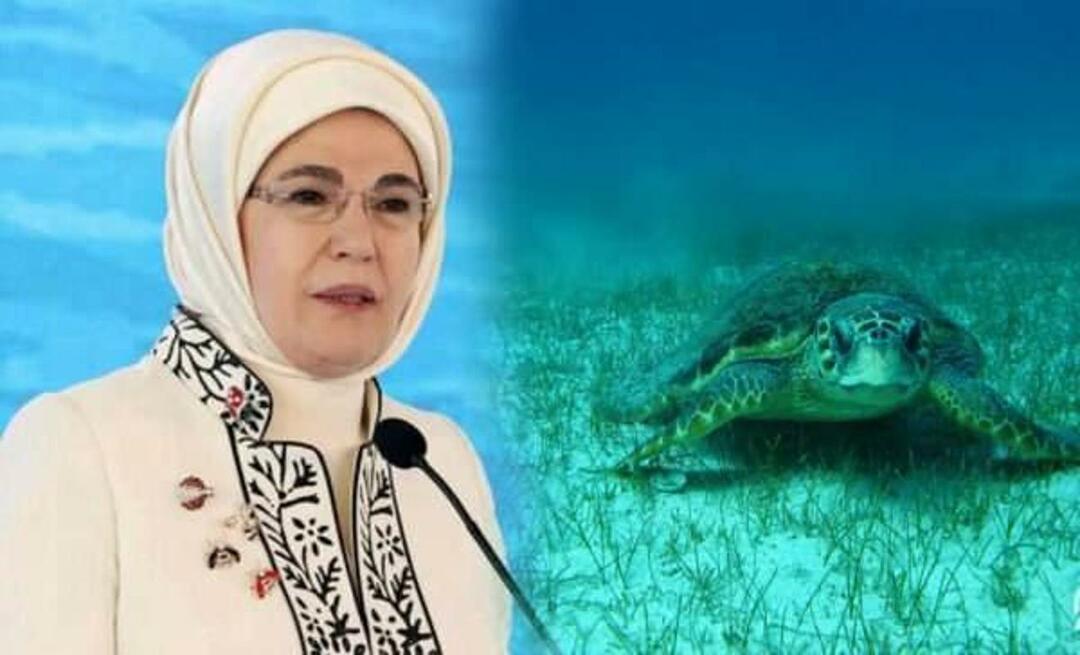 Sdílení "mořské želvy" od Emine Erdoğan: "Dokud je budeme chránit, budou i nadále žít"