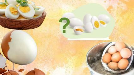 Dieta z vařených vajec! Zasytí vás vejce? 12 kilo za týden 