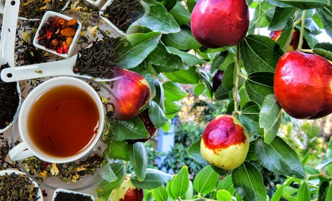 Jaké jsou výhody čaje z jujuby, které doporučuje Ibn Sina? K čemu je dobrý jujubový čaj?