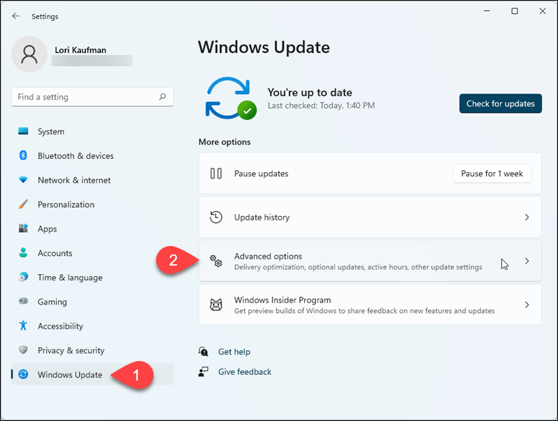 V Nastavení systému Windows 11 přejděte na Windows Update> Pokročilé možnosti