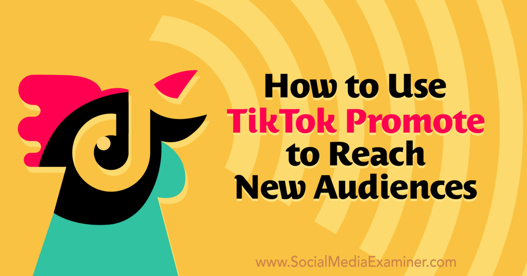 Jak pomocí propagace TikTok dosáhnout nového publika na průzkumu sociálních médií.