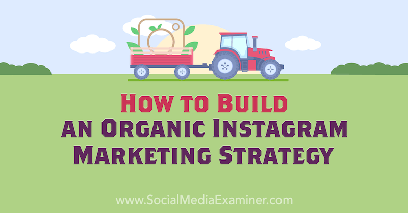 Jak vybudovat organickou marketingovou strategii Instagramu od Corinna Keefe na průzkumu sociálních médií.