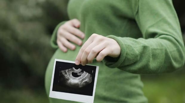Který orgán se u kojenců vyvíjí jako první? Vývoj dítěte každý týden