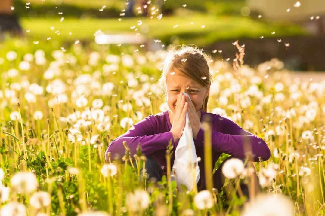 Co je třeba zvážit, abyste ochránili děti před sezónními alergiemi