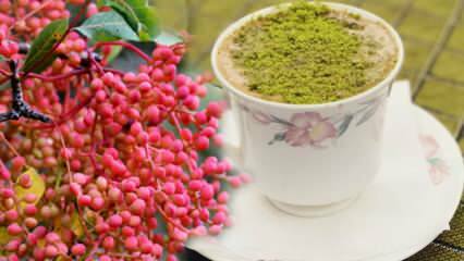 Jaké jsou výhody semene Menengiç (Çitlembik)? Co Menengiç káva dělá?
