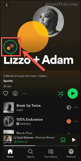 ikona prolnutí spotify