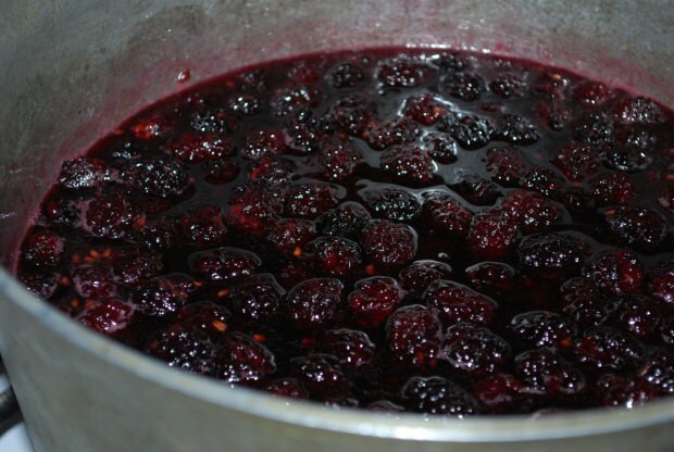 Jak vyrobit blackberry jam doma? Nejjednodušší recept na blackberry jam