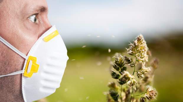 jarní alergie je způsobena pylem, domácími zvířaty, zvýšenou teplotou a prachem