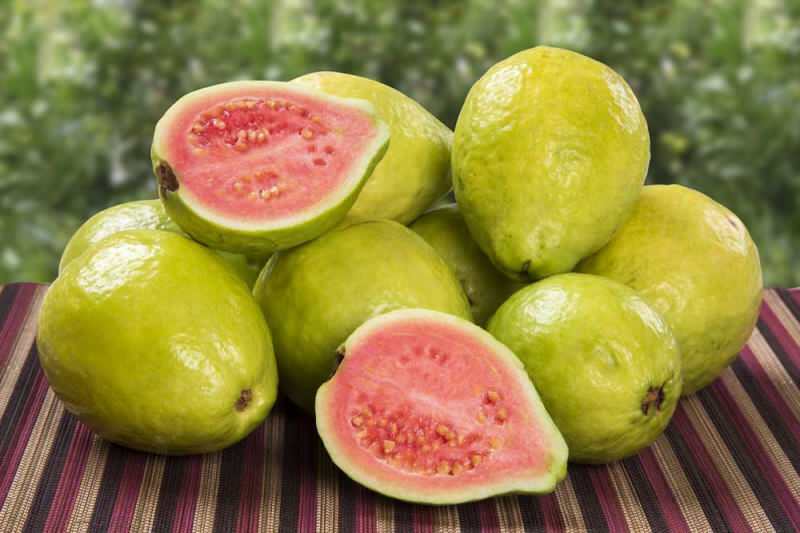 guavan ovoce prochází jako jahoda 
