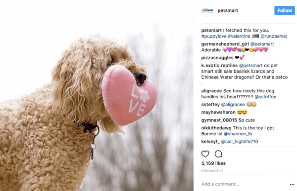 Když PetSmart opětovně sdílí fotografie uživatelů na Instagramu, přidělí fotografický kredit původnímu plakátu v titulku.
