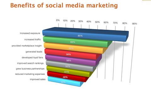 Zpráva o odvětví marketingu sociálních médií z roku 2012