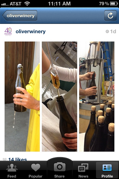 vinařství oliver