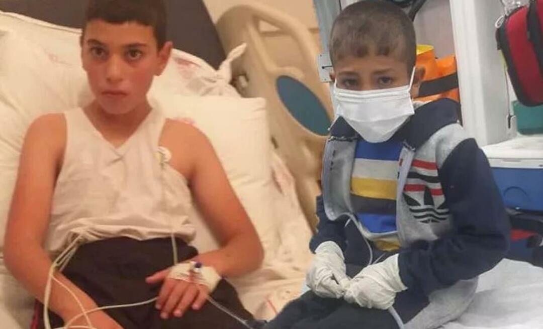 Dítě se vzteklinou je na jednotce intenzivní péče! vyhrkl Bahadır Yenişehirlioğlu