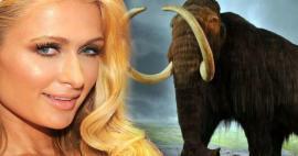 Paris Hilton investovala své peníze do mamutů! 
