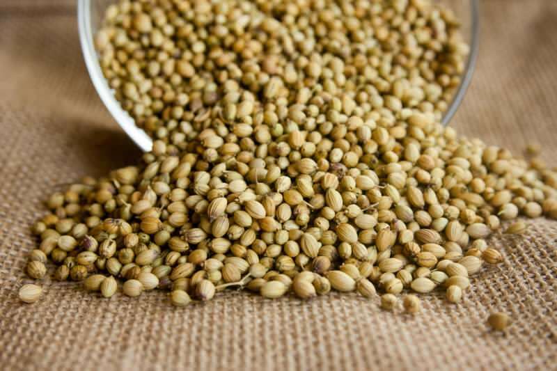Jaké jsou výhody semen koriandru? Jak používat koriandr? Co dělá koriandrový olej?