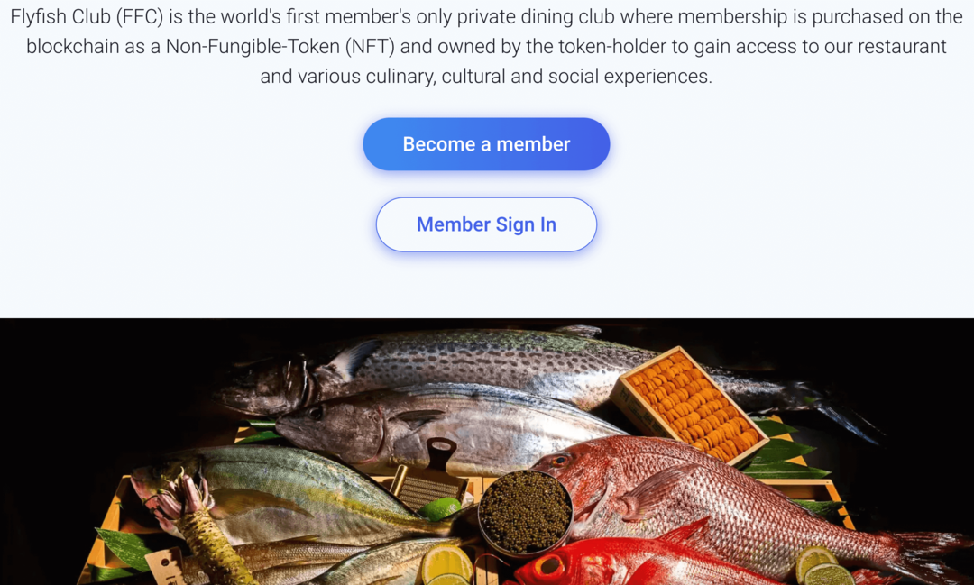 flyfish-web3-jídelní-klub