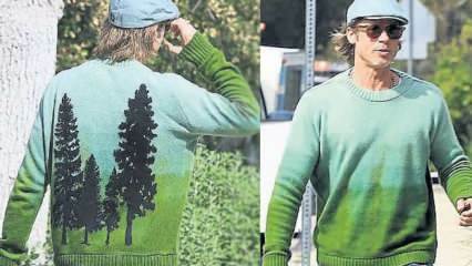Oscar-vyhrávající herečka Brad Pitt svetr navržený borovice byl okouzlující!