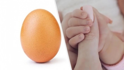 Rekordní vejce s 28 miliony lajků