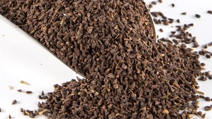 Jaké jsou výhody osiva Uzerlik? Jak překonat semena Üzerlik čaje?