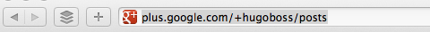 google + vlastní adresa URL