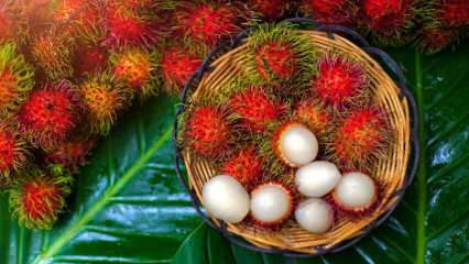 Co je Rambutan? Jaké jsou výhody ovoce Rambutan? Jak jíst rambutan?