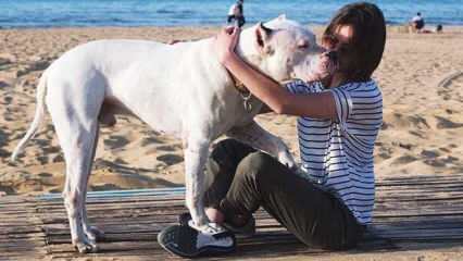 Mladá herečka Alina Boz se rozloučila se svým mrtvým psem! Kdo je Alina Boz?