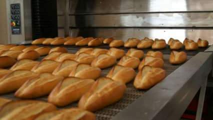 Odborníci varovali: Chléb dejte na 10 minut do 90 stupňové trouby