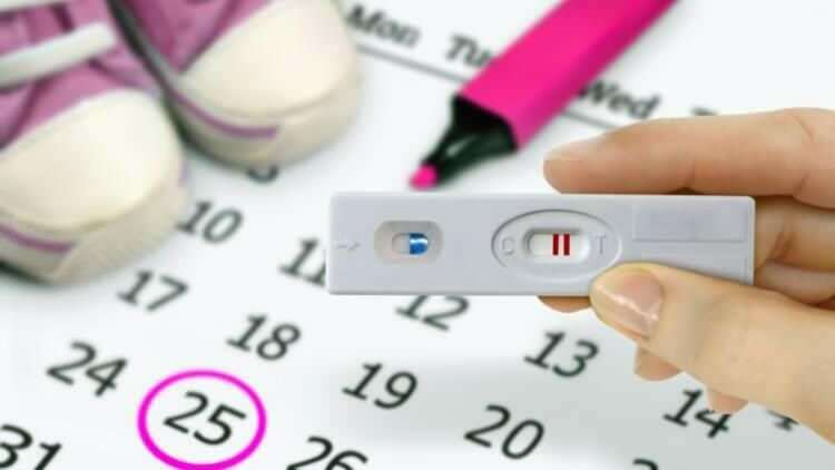 Kolik dní po skončení menstruace? Vztah mezi menstruací a těhotenstvím