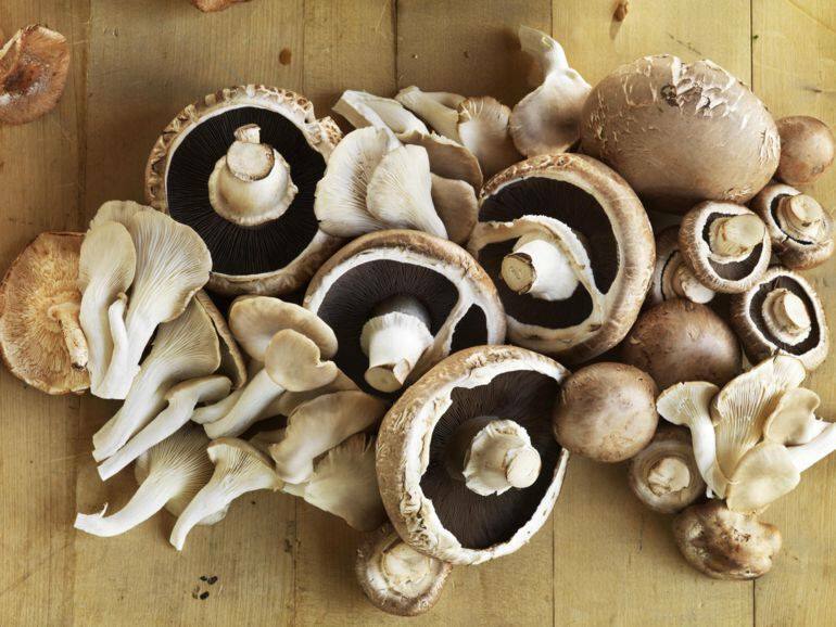Triky, které byste měli vědět při vaření hub