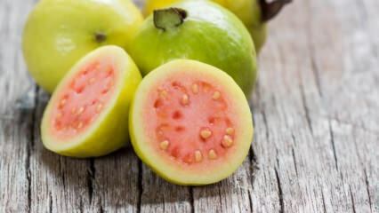 Co je to ovoce Guava? Jaké jsou výhody?