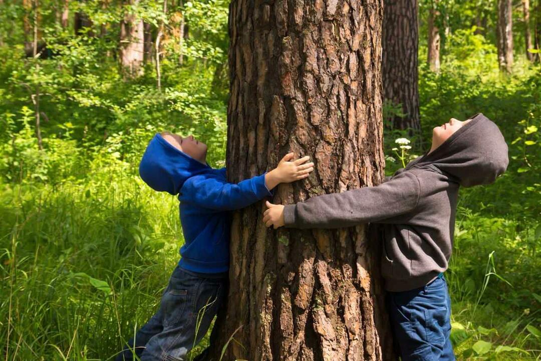 Jak dát dětem výchovu k povědomí o přírodě