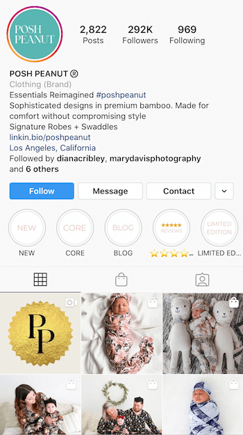 příklad Instagram bio optimalizovaný pro podnikání