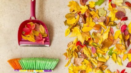 Praktické metody pro podzimní čištění